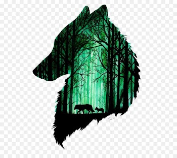 Gray wolf Drawing Art Watercolor painting - Forest the size of two wolves 