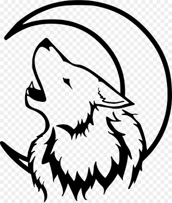 Gray wolf Drawing Lunar phase Clip art - white wolf 