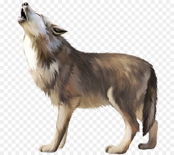 Gray wolf Icon - Wolf 