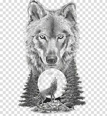 Gray wolf illustration, Gray wolf Art In Motion Tattoo Studio Tattoo artist Drawing, Sketch animal wolf transparent background PNG clipart