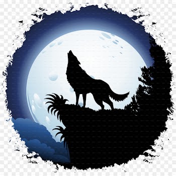 Gray wolf Moon Coyote Red wolf Clip art - wolf 