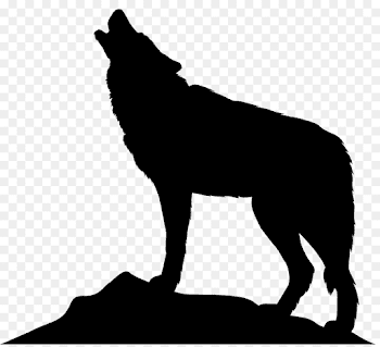 Gray wolf Silhouette Clip art - wolf png download - 8000*7239 ...