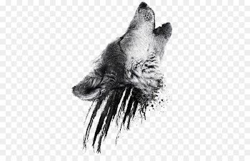 Gray wolf Sleeve tattoo Isaac Lahey Jack London - White Fang: "The Wild Still Lingered in Him and the Wolf in Him Merely Slept." - Water wolf illustration 