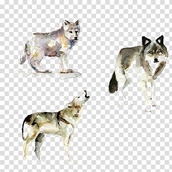 Gray wolf Watercolor painting Printmaking, Wolf transparent background PNG clipart