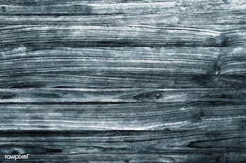 Gray wood texture | Free stock vector - 895375