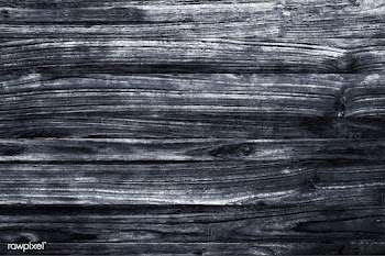 Gray wood texture | Free stock vector - 895389