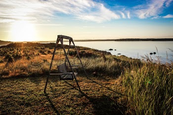 gray wooden bench swing facing body of water surrounded by grass