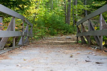 Gray Wooden Bridge