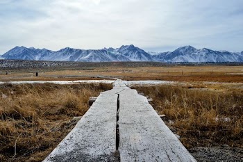 gray wooden bridge