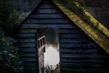 gray wooden door near body of water