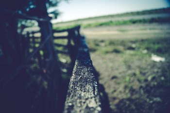 Gray Wooden Fence