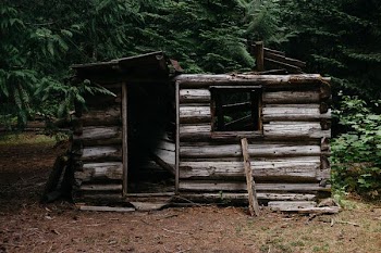 gray wooden handmade shed under green trees