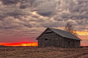 gray wooden house under gray sky