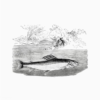 Grayling fish in the water | Free stock vector - 572698