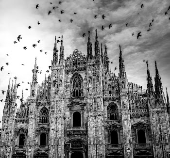 Grayscale Cathedral Photograph