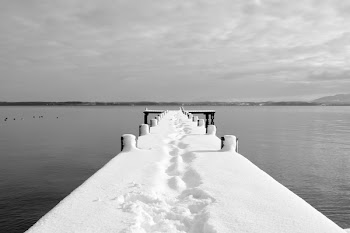 Grayscale of Dock Bridge