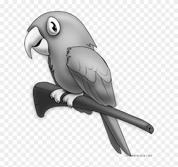 Grayscale Parrot Animal Free Black White Clipart Images - L Words In Spanish