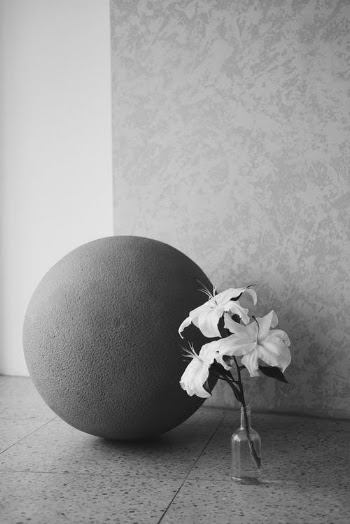 Grayscale Photo of a Ball Near Flowers · Free Stock Photo