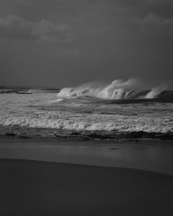 Grayscale Photo of a Beach