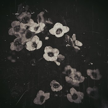 Grayscale Photo Of A Cluster Of Bell Flowers With Scratched Surface