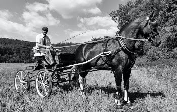 Grayscale Photo of a Man Riding a Chariot