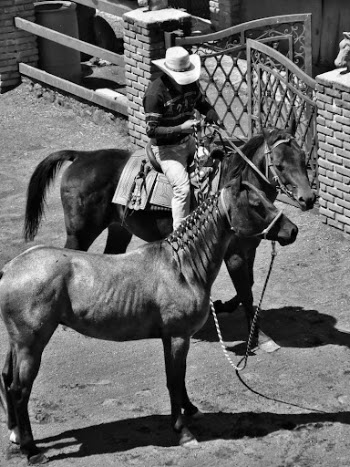 Grayscale Photo of a Man Riding on a Horse