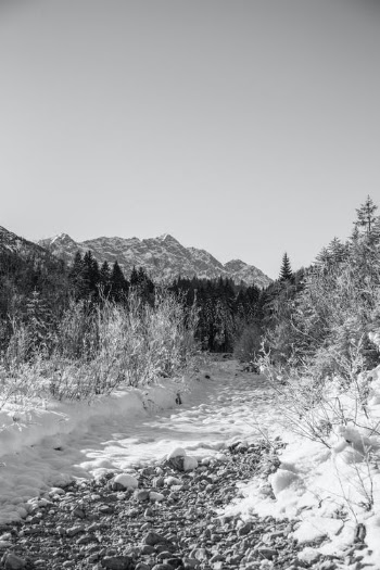 Grayscale Photo of a Snow Covered Landscape · Free Stock Photo