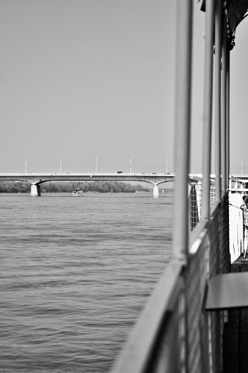 Grayscale Photo of Bridge