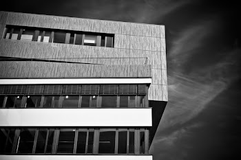 Grayscale Photo of Building