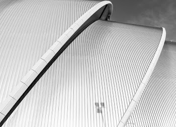 Grayscale Photo of Building Roof