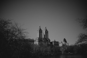 Grayscale Photo of Buildings over the Tree