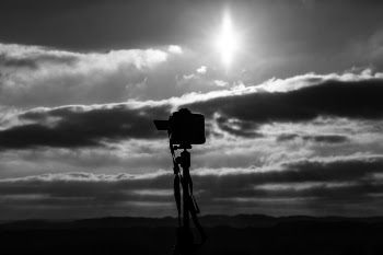 Grayscale Photo Of Camera Under The Sun