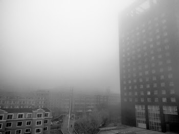 Grayscale Photo of City