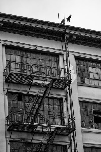 Grayscale Photo of Concrete Building · Free Stock Photo