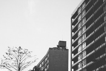 Grayscale Photo of Concrete Building Near Tree