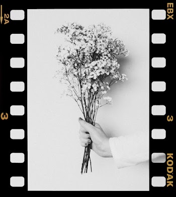 Grayscale Photo Of Flowers