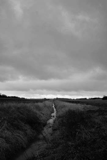 Grayscale Photo of Grass Field
