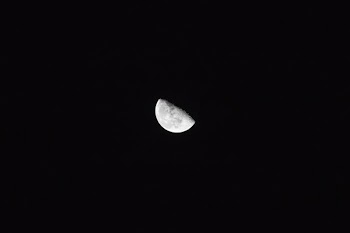 grayscale photo of half-moon