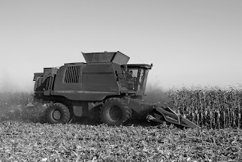 Grayscale Photo of Harvester