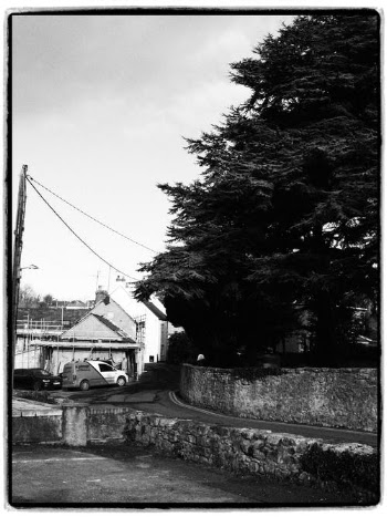 Grayscale Photo of House Near Trees · Free Stock Photo