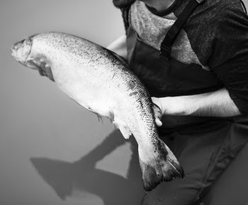 Grayscale Photo of Man Holding Milkfish