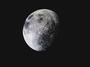 Grayscale Photo of Moon