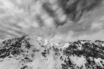 grayscale photo of mountain apls