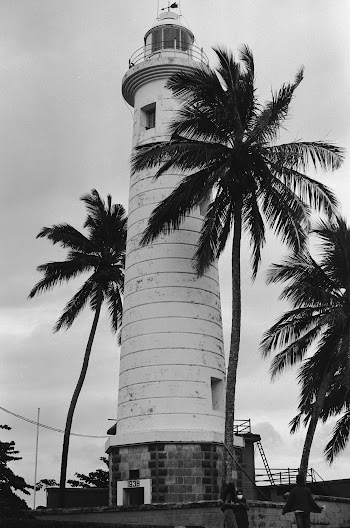 Grayscale Photo of Palm Tree Near Lighthouse · Free Stock Photo