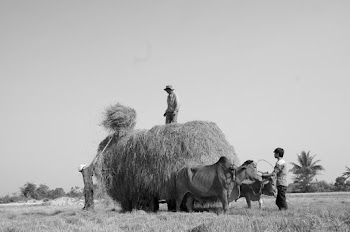Grayscale Photo of People Stacking Hays