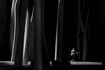 Grayscale Photo of Person Wearing Black Pants Walking Across Posts