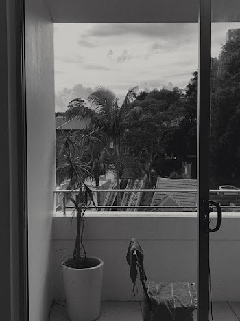Grayscale Photo of Potted Plant