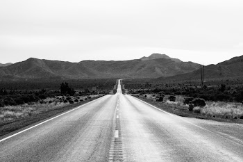 Grayscale Photo of Road