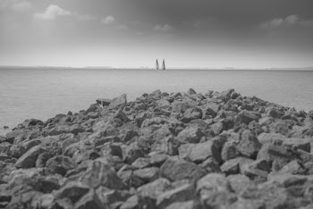 Grayscale Photo of Rocks Near Beach