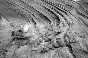 Grayscale Photo of Rocky Terrain